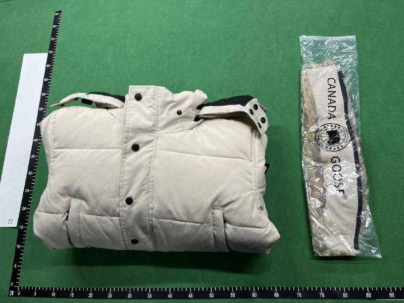 Canada Goose Jacket  Vest - 3