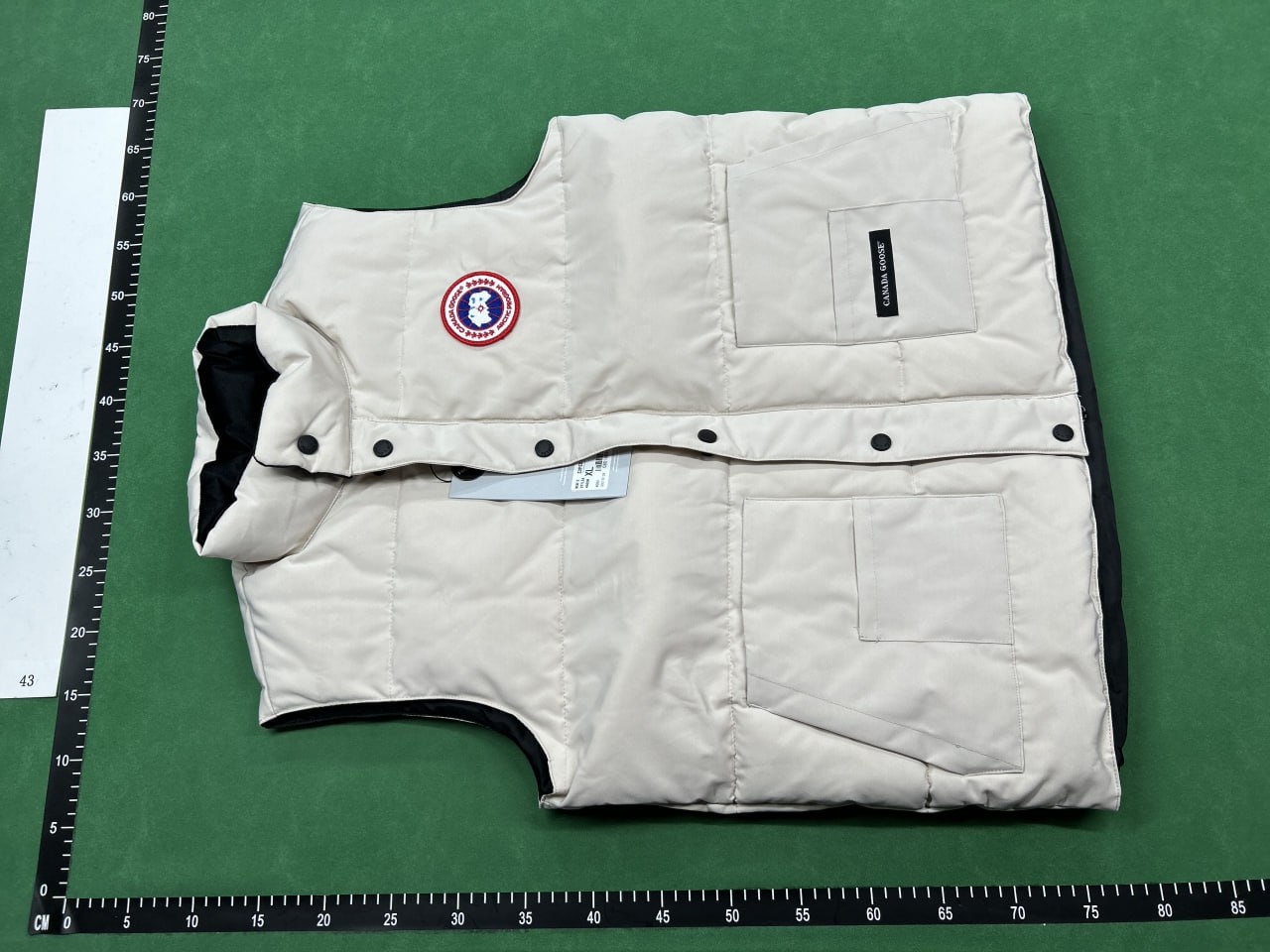 Canada Goose & The North Face Vest - 3