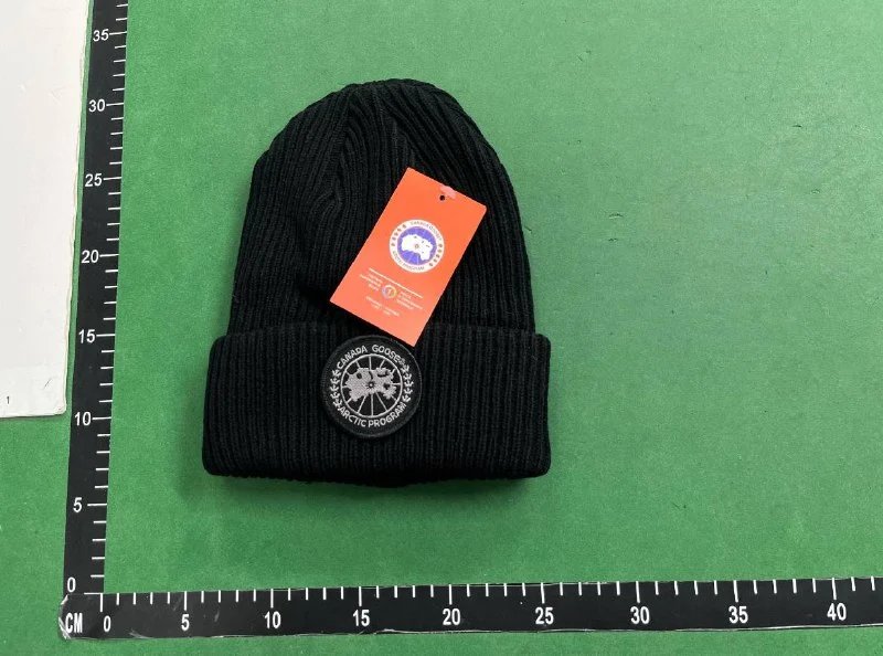 Canada GooseDSQ2 Beanie（38+ Styles） - 2