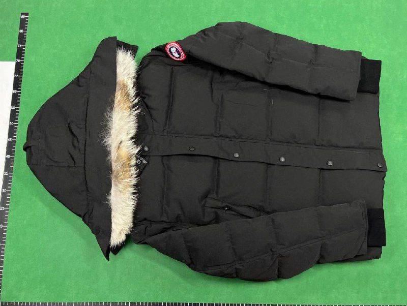 Canada Gooes Jacket - 2