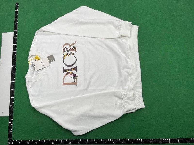  Dior sweatshirt  (30 CP) - 3