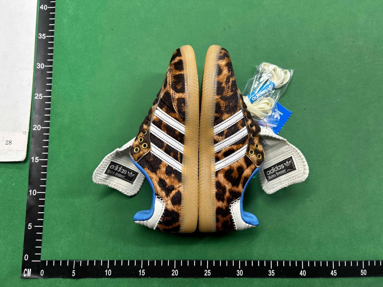 BF  adidas Gazelle lndoor - 3