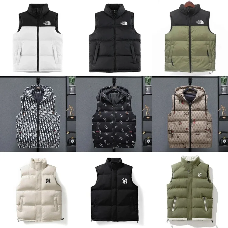 The north face down jacket vest   (31 CP)