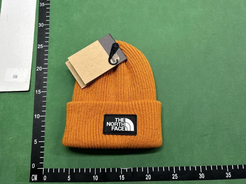The North Face hat ( 40 colors ) - 4