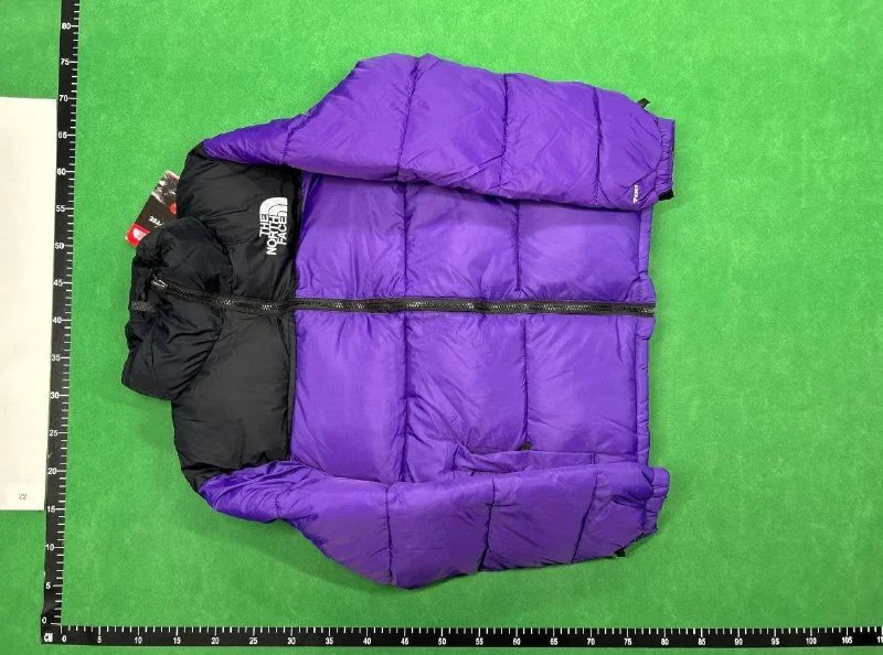 The North Face DOWNJACKET - 2