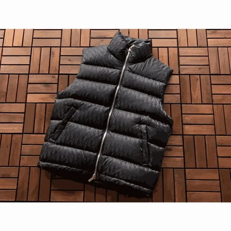 DIOR vest
