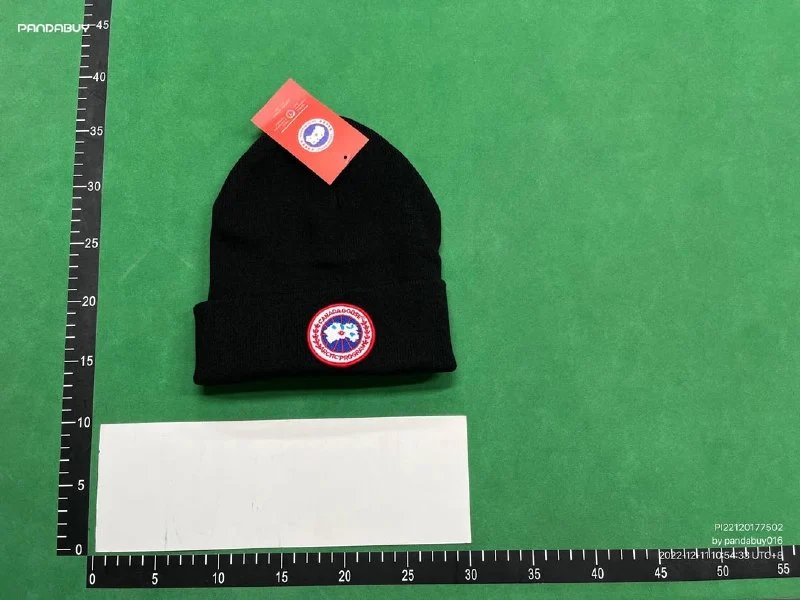  Canada GooseDSQ2 Beanie（38+ Styles） - 3