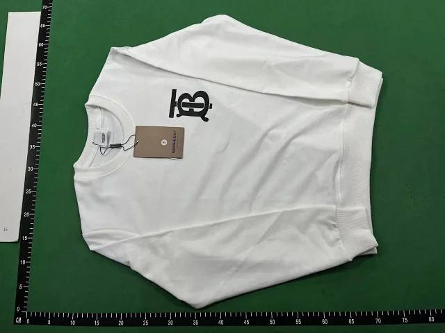  Burberry Hoodie  - 2