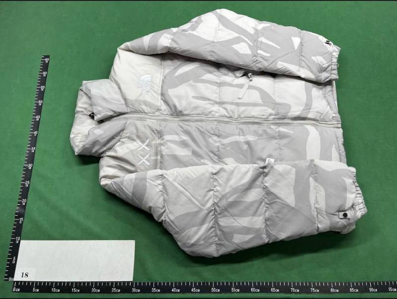 The North Face 1996 Down Jacket - 2