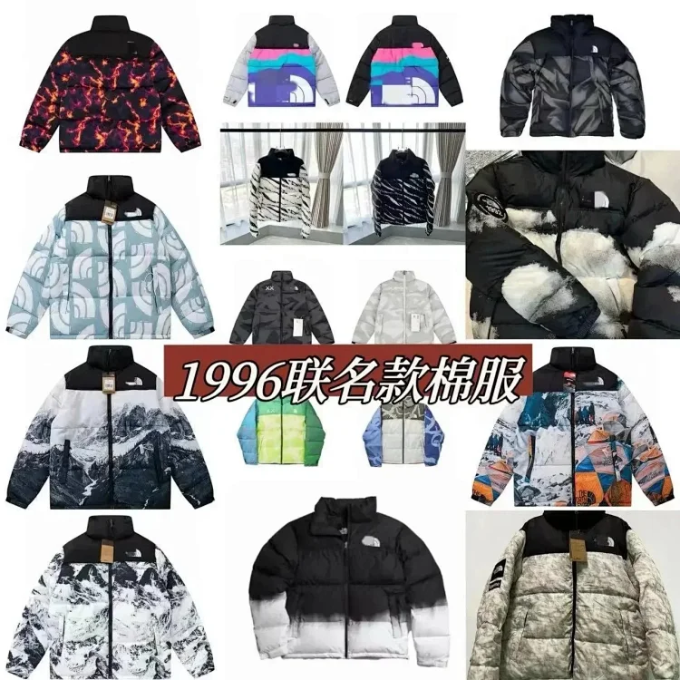 The North Face 1996 Down Jacket