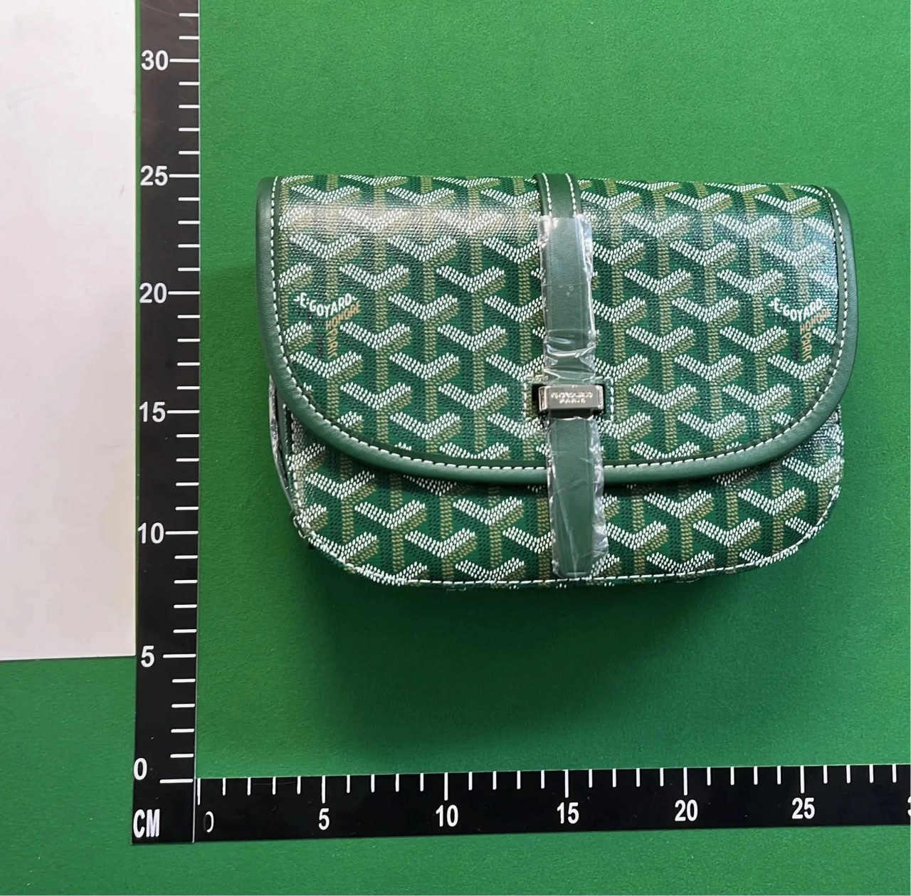  GOYARD bag - 2