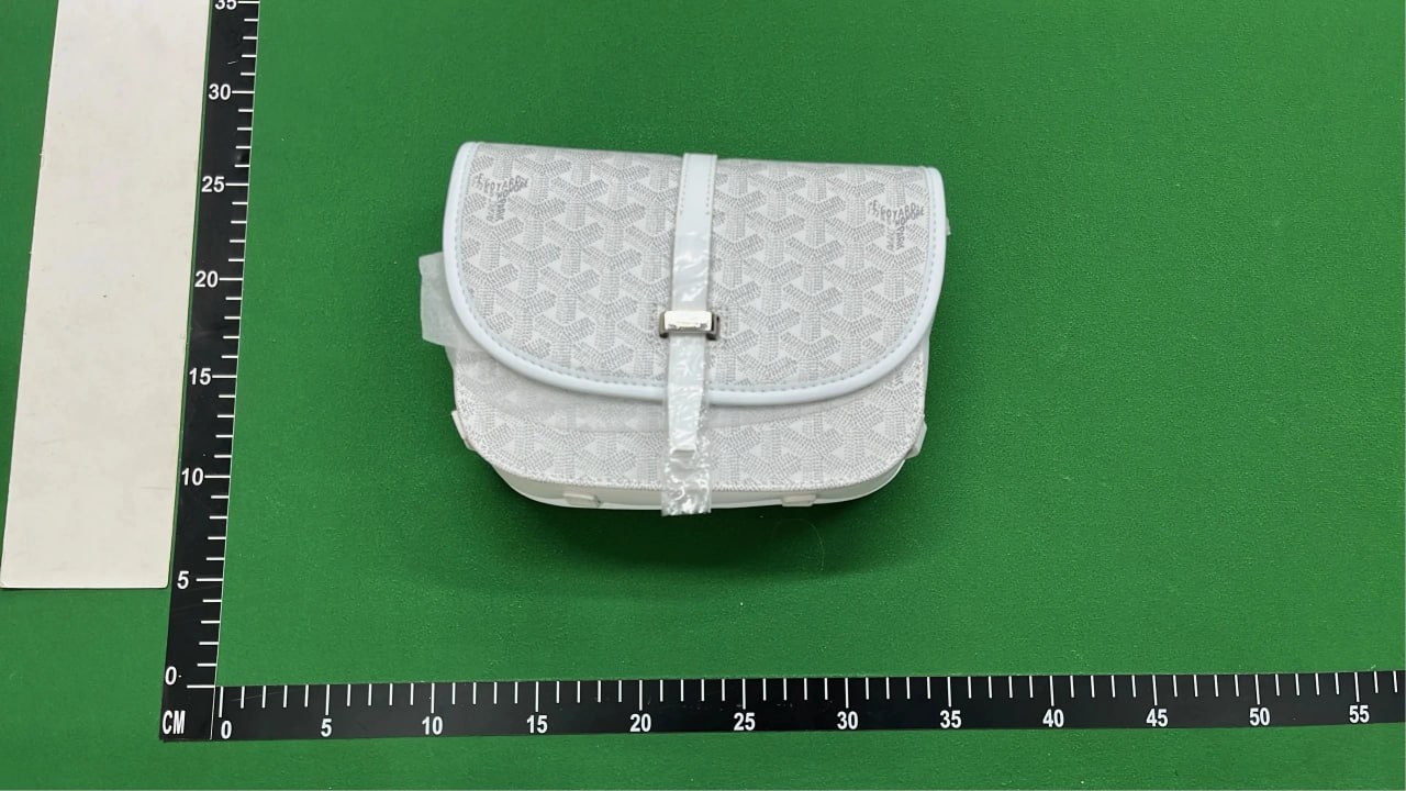  GOYARD bag - 3