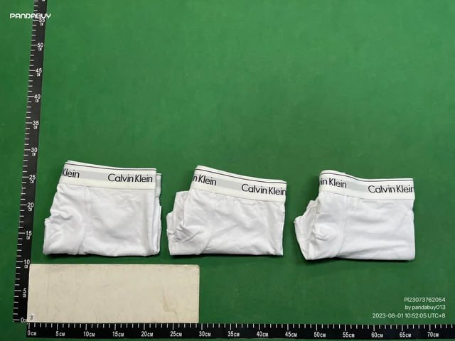 CK  Underwear(30 styles) - 2