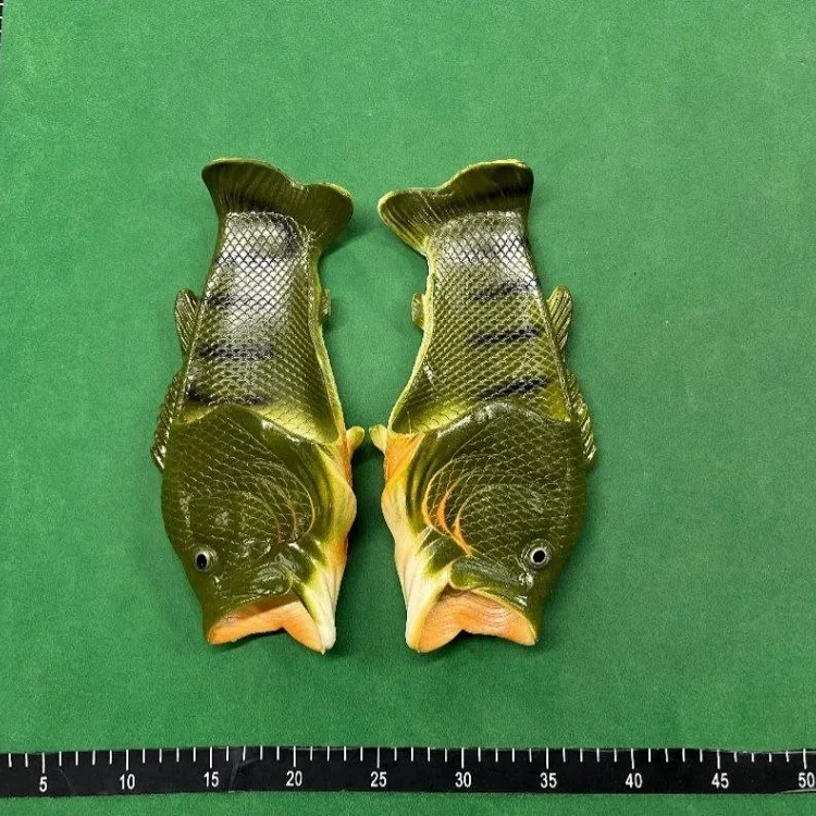FISH SLIDES
