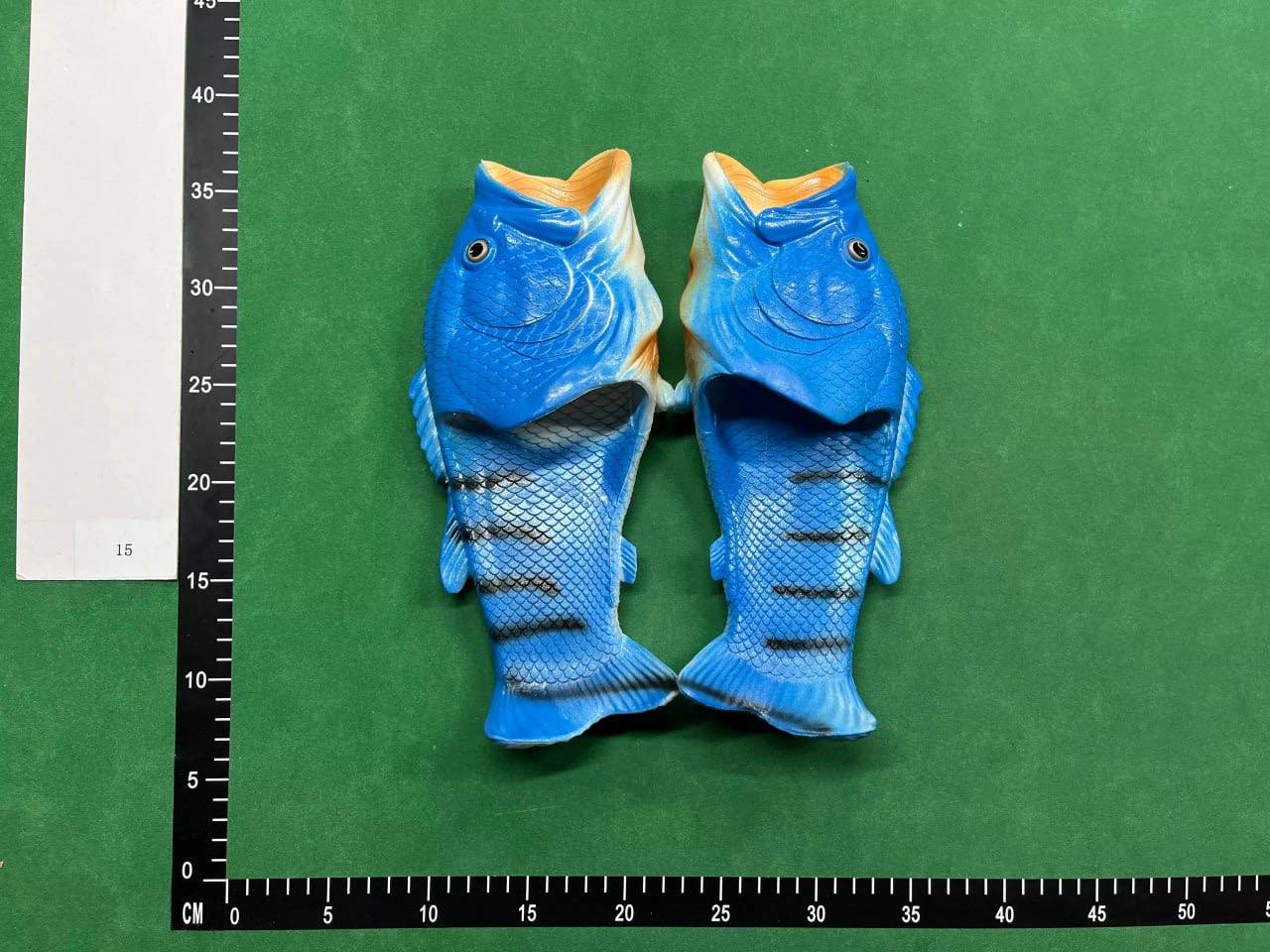FISH SLIDES - 3
