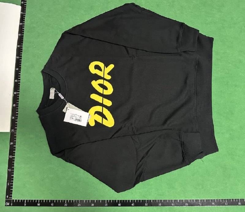 Dior sweatshirt     (30 CP) - 5