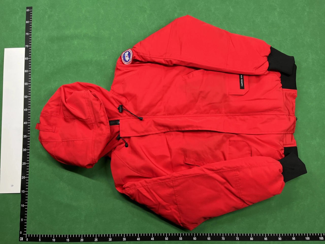 canada goose down jacket - 2