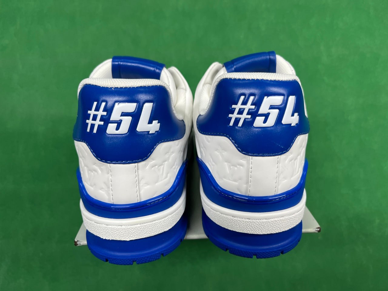 FS-LV Trainer - 2