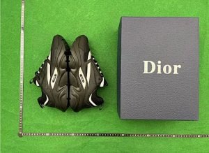 DIOR B30 B25 B22  (TOP 36 style  ) - 3