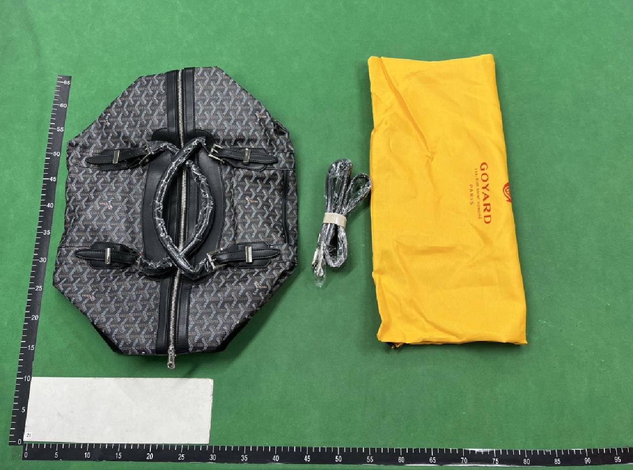 Goyard Tote Bag - 4