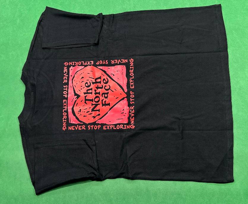 The north face T-shirt  (40 CP) - 4