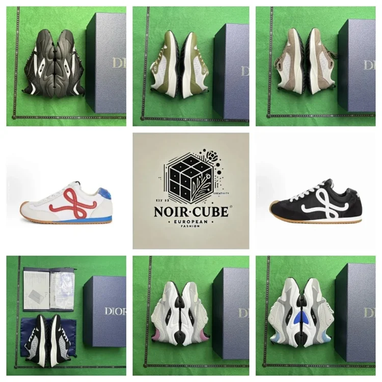 Dior B22B25B27 shoes（Complete packaging 