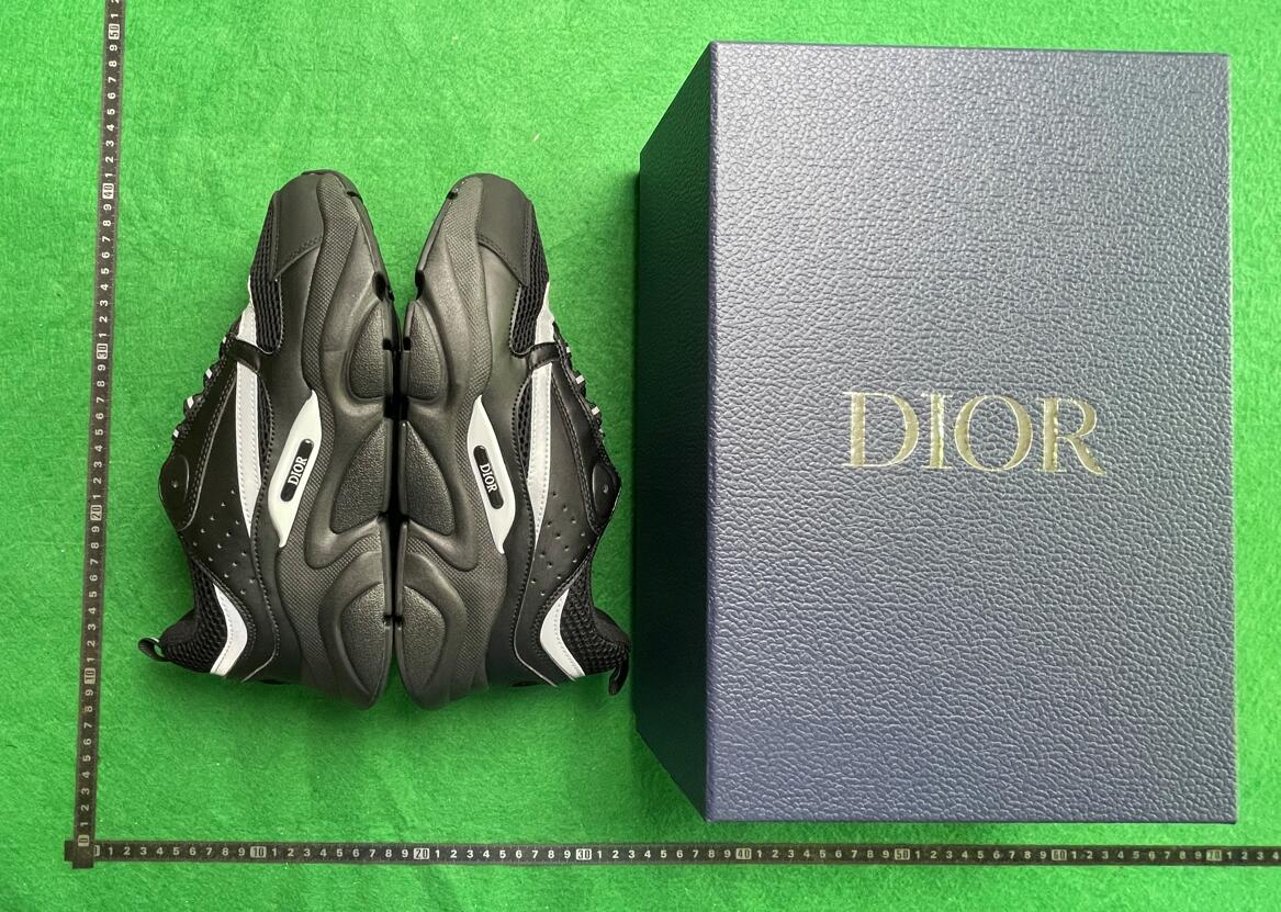 Dior B22B25B27 shoes（Complete packaging  - 2
