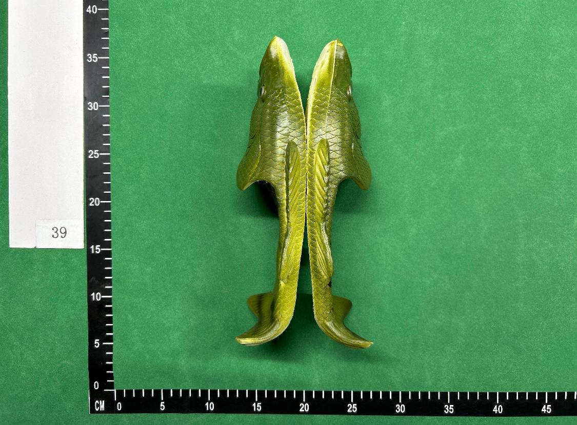 FISH SLIDES - 3