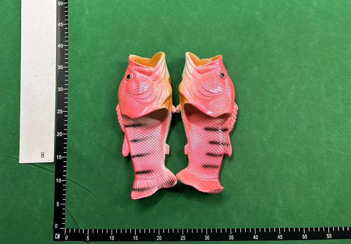 FISH SLIDES - 5