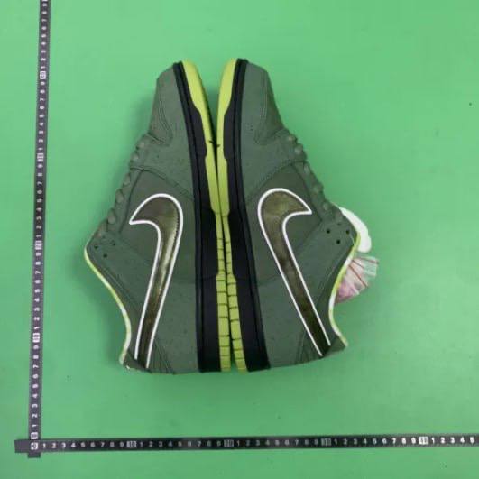 CONCEPTS x Nike Dunk SB - 5