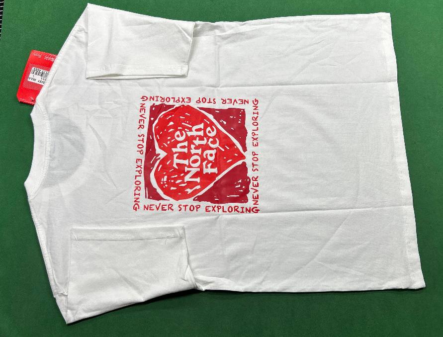 The north face T-shirt  (40 CP) - 5