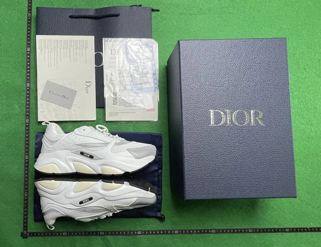 Dior B25B30 shoes（Complete packaging accessories）