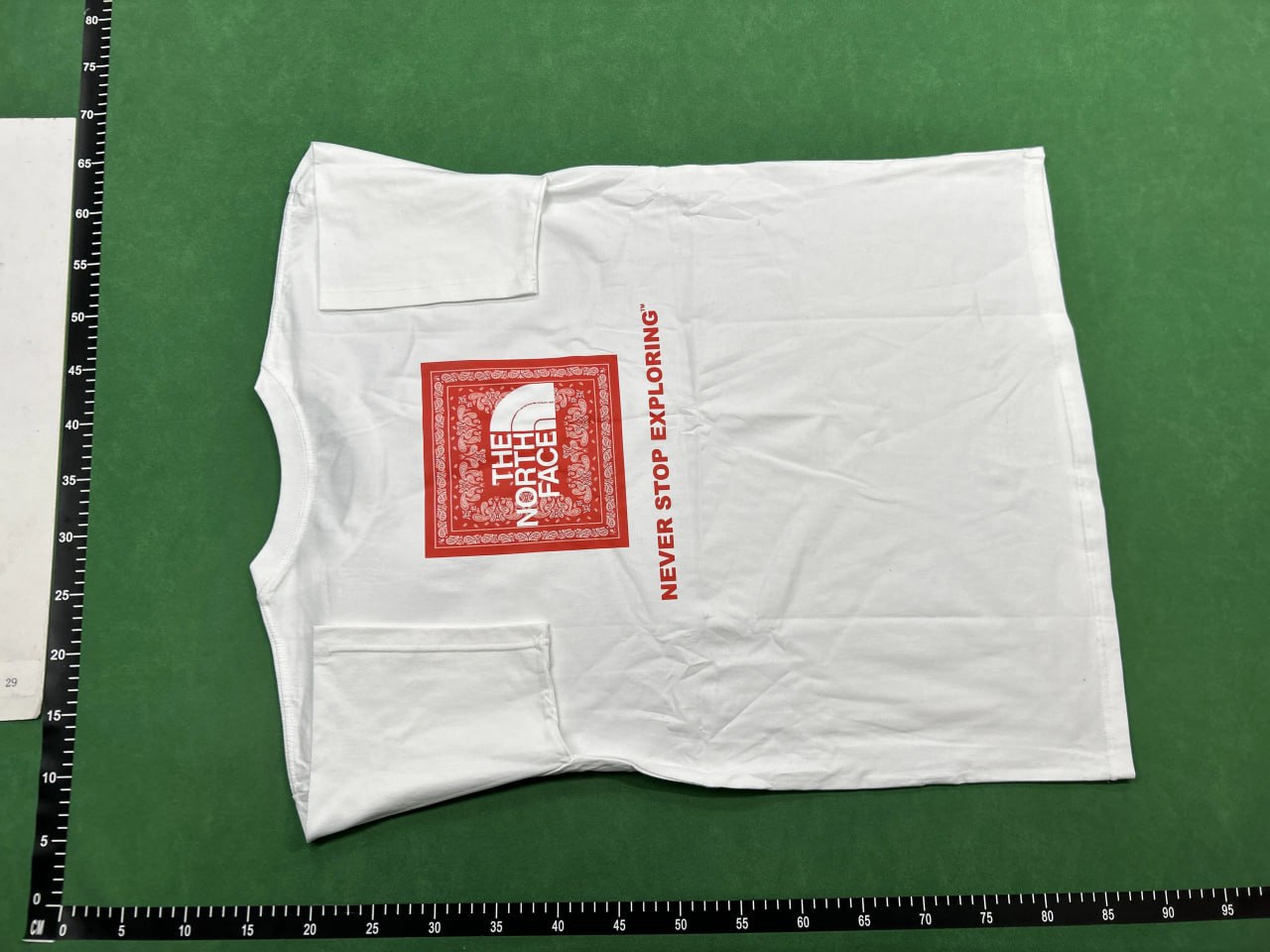The north face T-shirt  (18 CP) - 2