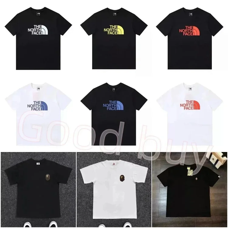 The north face T-shirt  (18 CP)