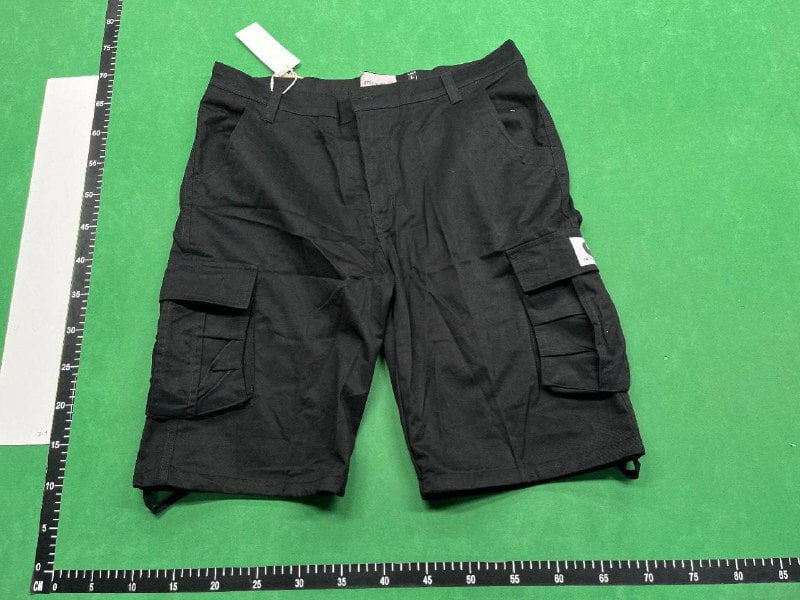  Carhartt shorts   (31 CP) - 2