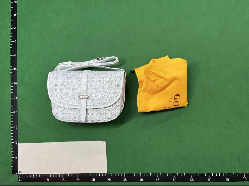  Goyard Bag - 4