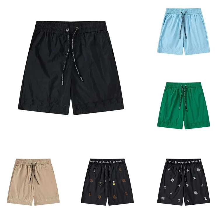 Lv Shorts (40+)