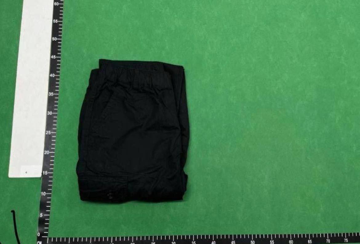  Carhart pants - 3