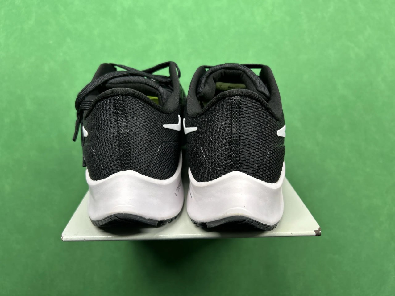 GOT-Pegasus 40 - 5