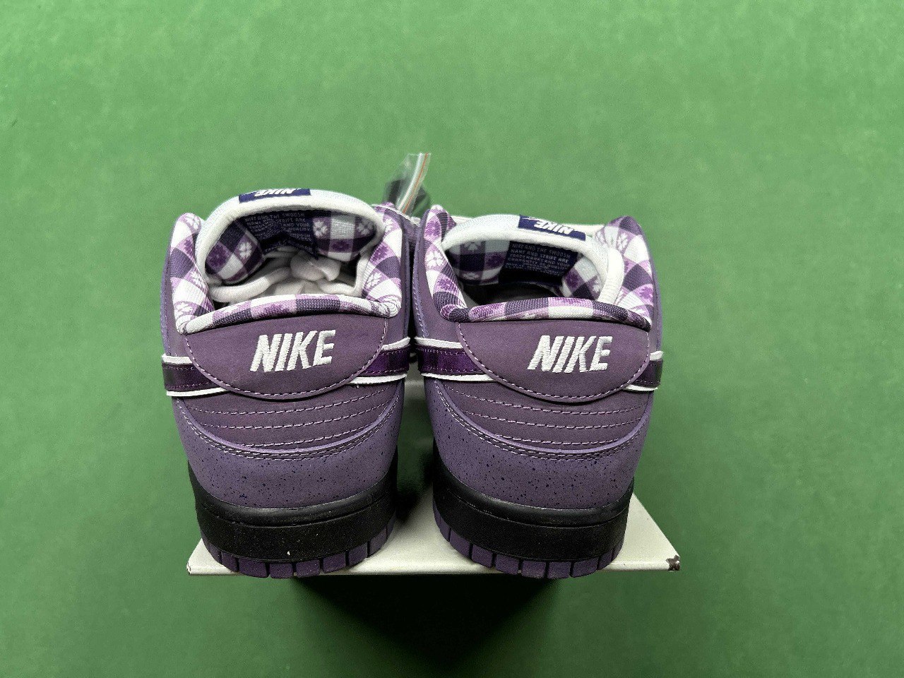 CONCEPTS x Nike Dunk SB  - 4