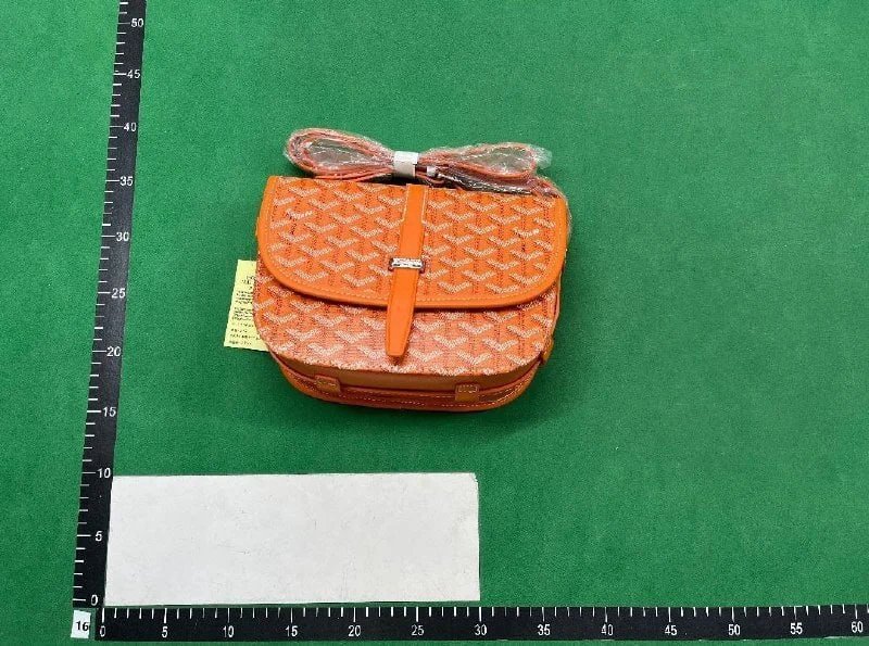 Goyard bag  (40 style) - 5