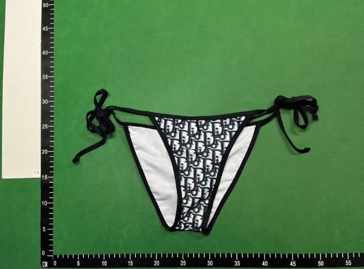  Dior Bikini - 4