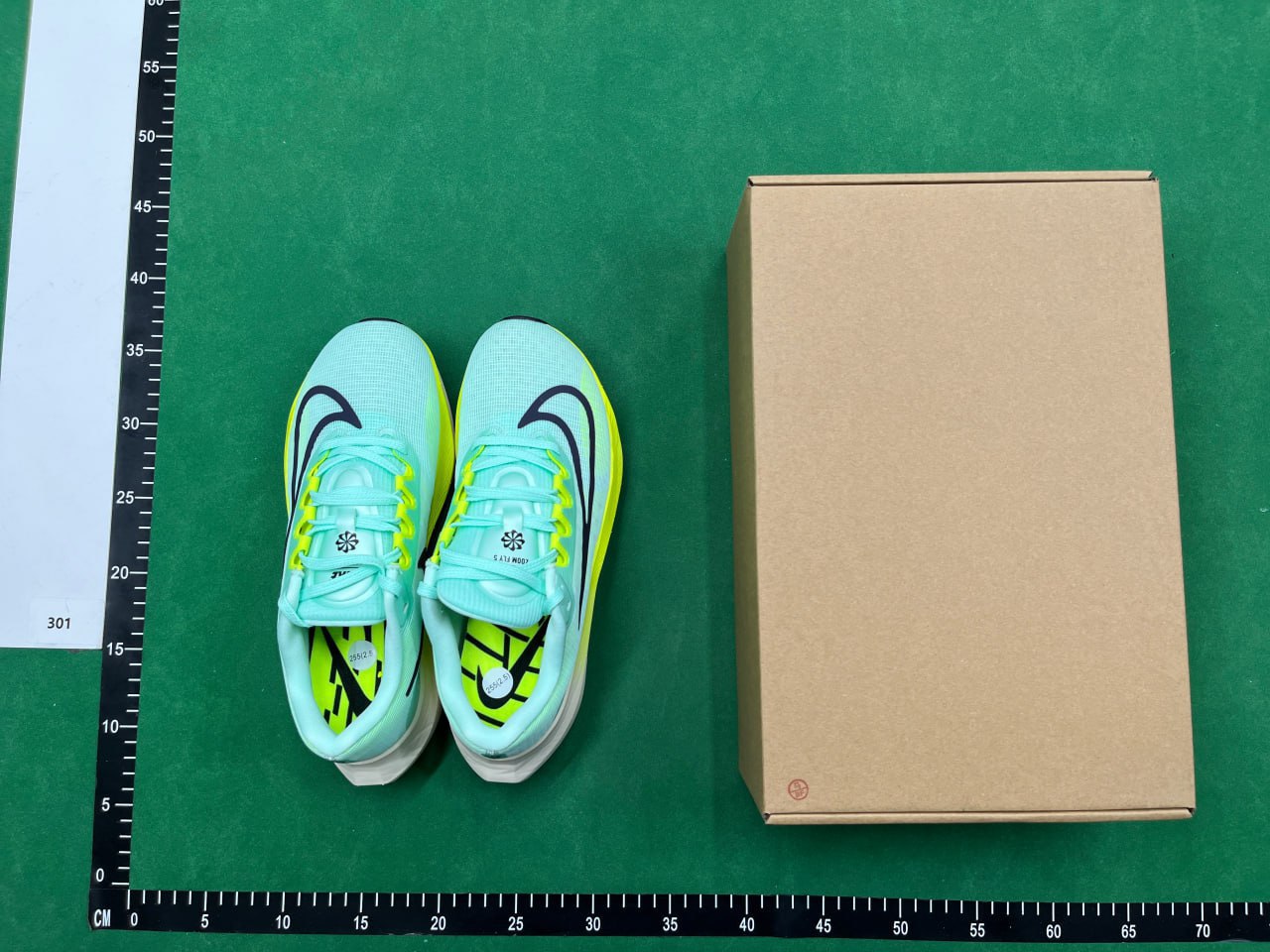  GOT-ZOOM FLY5 - 2