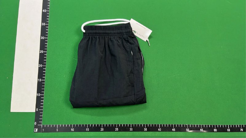 Lacoste shorts pants 11 High Quality (????Summer beach vacation essentials) - 3