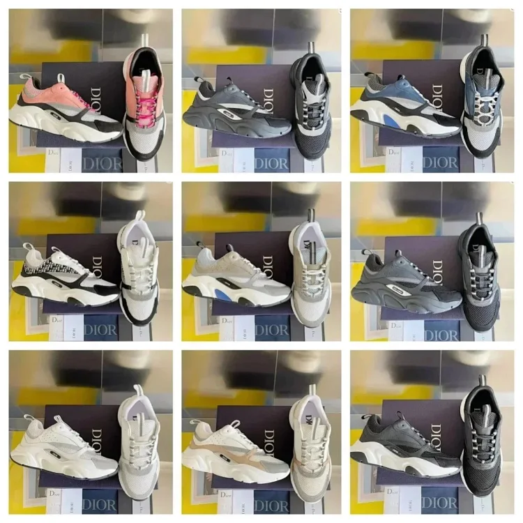 DIOR B22