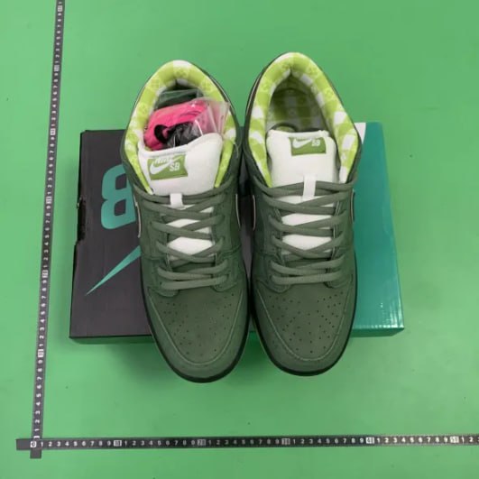 CONCEPTS x Nike Dunk SB  - 4