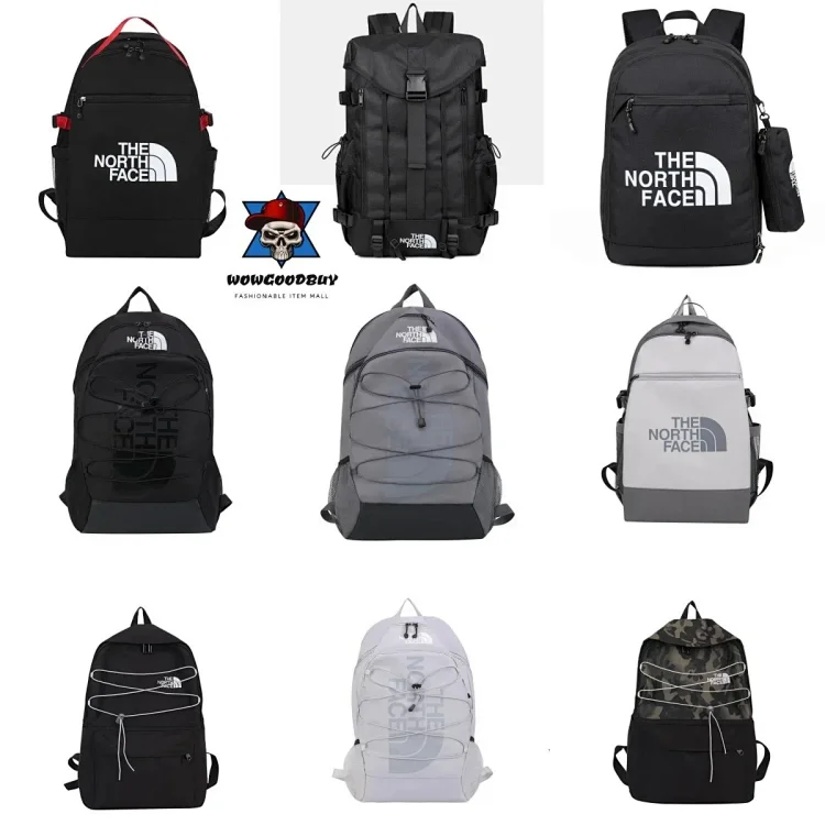 the north face bag