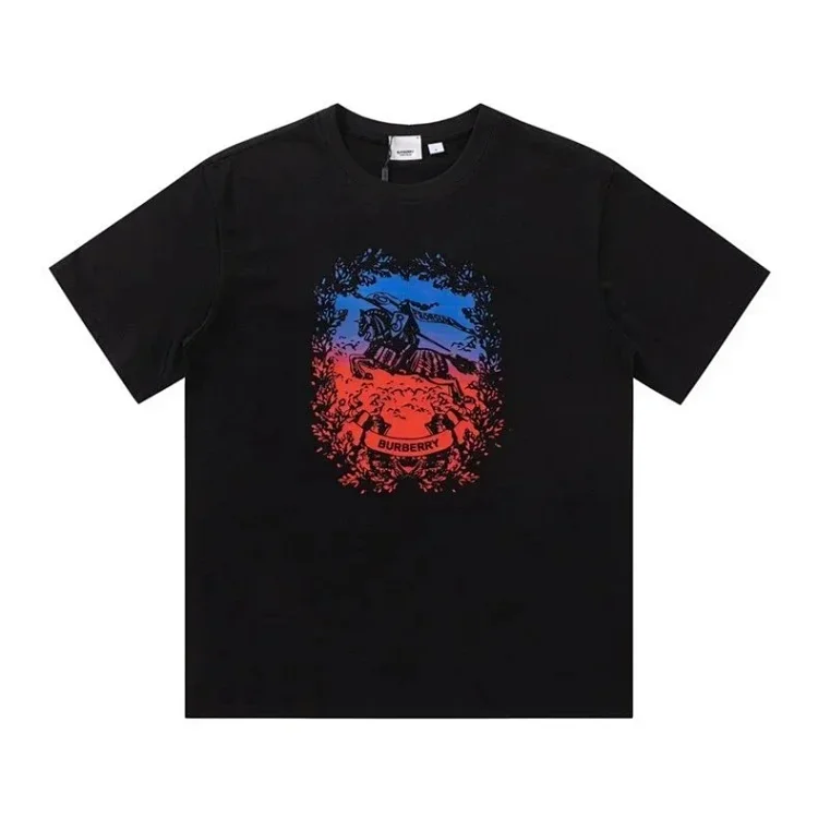 burberry t-shirt（color 40）
