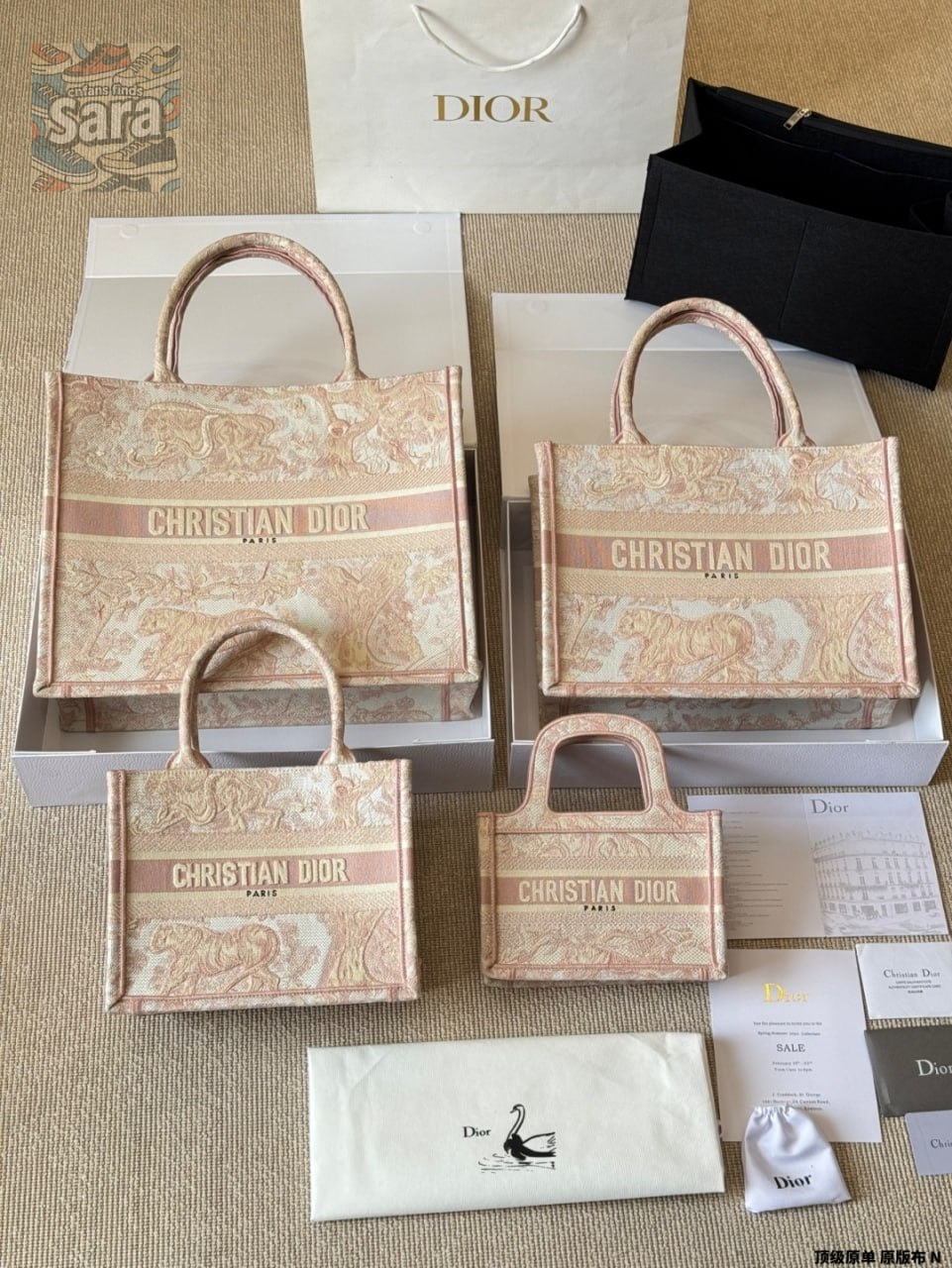 DIOR bag     - 2