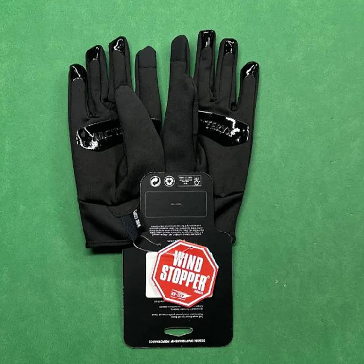 The north face gloves
